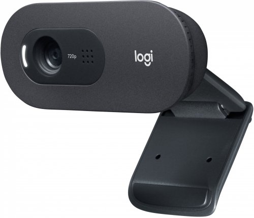 Камера Web Logitech WebCam C505e черный 2Mpix USB2.0 с микрофоном для ноутбука фото 2