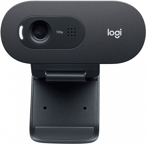 Камера Web Logitech WebCam C505e черный 2Mpix USB2.0 с микрофоном для ноутбука фото 3