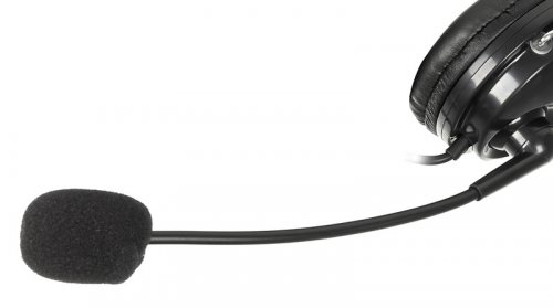 Наушники с микрофоном A4Tech HS-7P черный 2.5м накладные оголовье фото 6