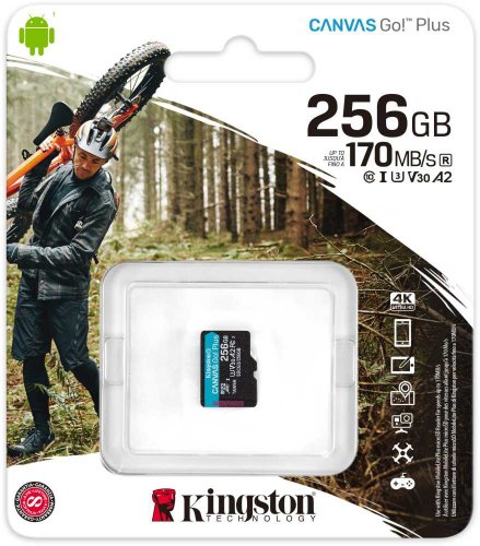 Флеш карта microSDXC 256Gb Class10 Kingston SDCG3/256GBSP Canvas Go! Plus w/o adapter фото 2