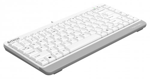 Клавиатура A4Tech Fstyler FKS11 белый/серый USB фото 4