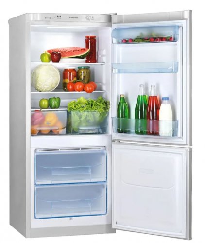 Холодильник Pozis RK-101 A серебристый фото 2