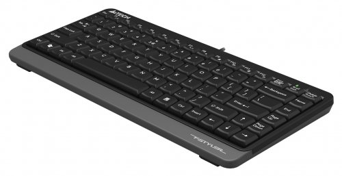 Клавиатура A4Tech Fstyler FKS11 черный/серый USB фото 5