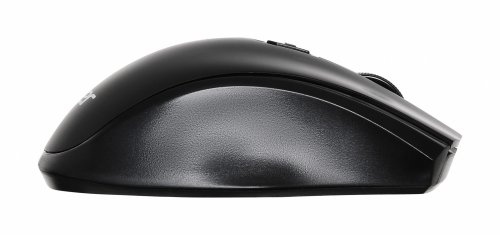 Мышь Acer OMR030 черный оптическая (1600dpi) беспроводная USB (3but) фото 3